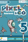 Pixel & co Nederlands 5