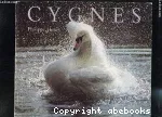 Cygnes