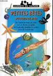 Petites bêtes des bords de mer