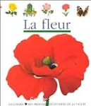 La fleur