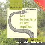 Les batraciens et les reptiles : guide de terrain à compléter et colorier