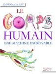 Le corps humain : une machine incroyable