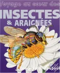 Voyage au coeur des insectes & araignées