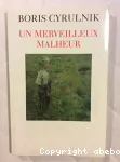 Un merveilleux malheur