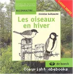 Les oiseaux en hiver