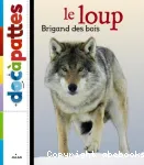 Le loup : brigand des bois