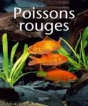 Poissons rouges