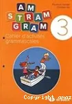 Am Stram Gram 3 : cahier d'activités grammaticales