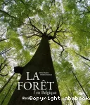 La forêt en Belgique