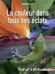 La couleur dans tous ses éclats