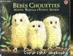 Bébés chouettes