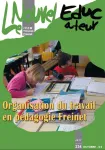Le Nouvel Educateur, N°234 - Octobre 2017 - Organisation du travail en pédagogie Freinet