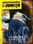 Salamandre junior (8-12 ans), N°121 - Décembre 2018-Janvier 2019 - Gypaète, la légende du rapace barbu