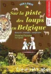 Sur la piste des loups en Belgique