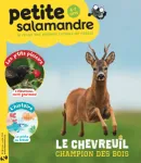 Petite salamandre (4-7 ans), N°30 - Juin - juillet 2020 - Le chevreuil, champion des bois