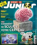 Science et Vie Junior, N° 377 - Février 2021 - Comment se sculpte votre cerveau