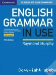 English grammar in use