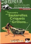 À la rencontre des sauterelles, criquets et grillons...