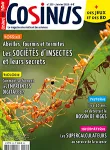 Cosinus, N° 255 - Janvier 2023 - Les sociétés d'insectes et leurs secrets