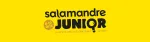 Salamandre junior (8-12 ans), N° 151 - Décembre 2023 - Janvier 2024 - Un chat sauvage ?