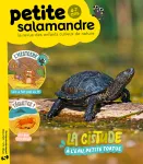 Petite salamandre (4-7 ans), N°54 - Juin - Juillet 2024 - La cistude : à l'eau, petite tortue